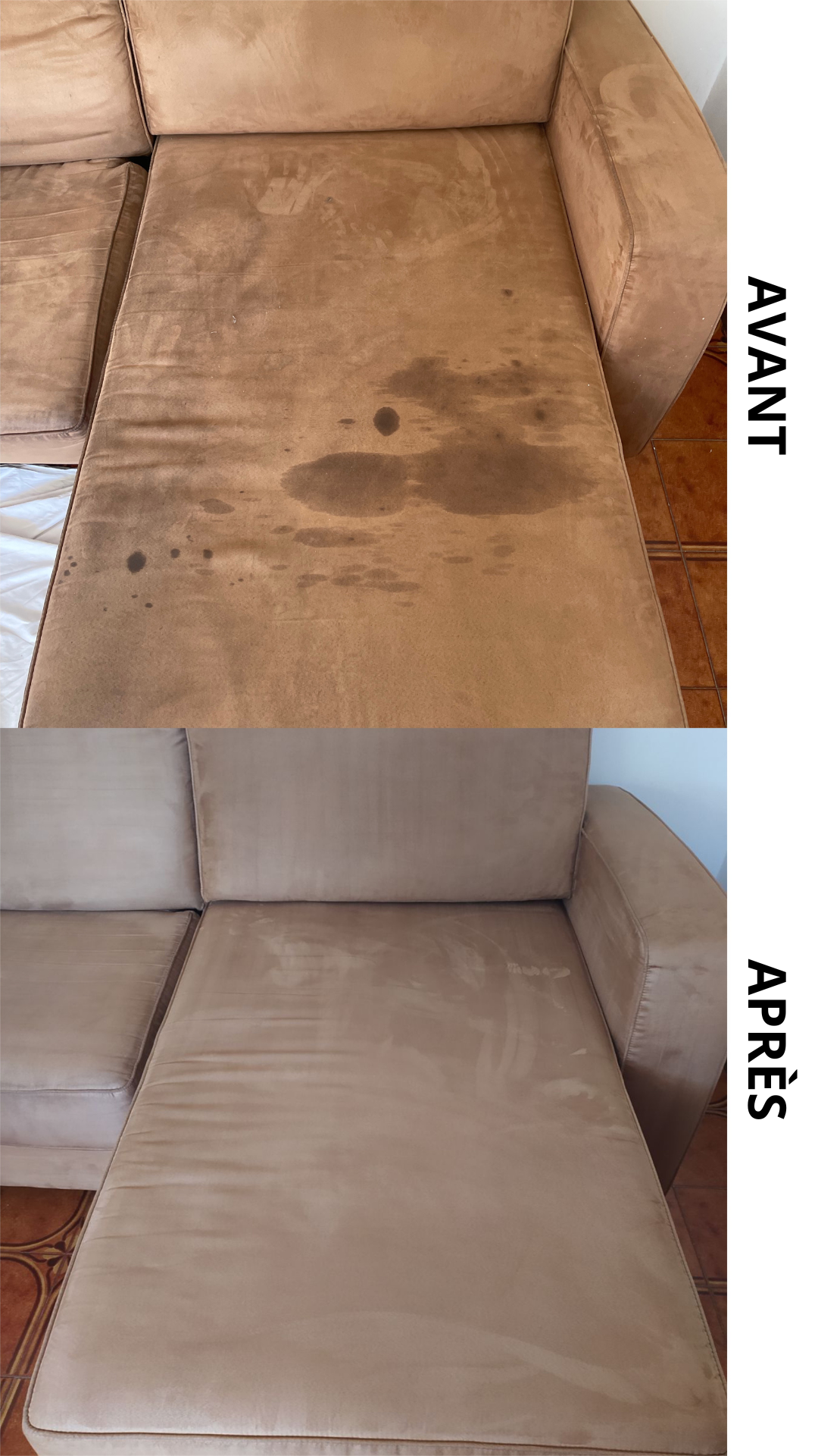 Nettoyage canapé Alpes-Maritimes